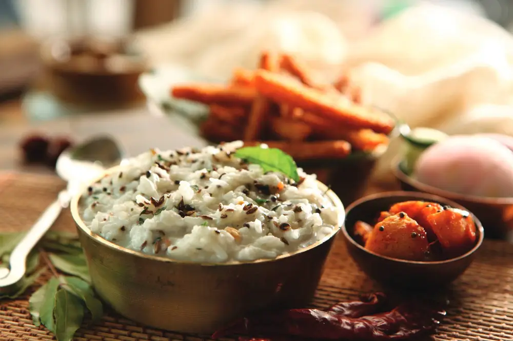 curd rice