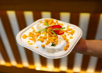 Dahi Vada